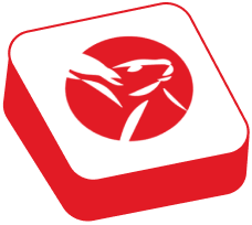access image