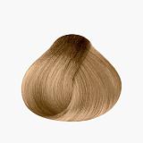 L’oreal Professionnel Inoa Oil Delivery System 9