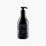 Paul Rivera Absolute Sleek Taming Shampoo