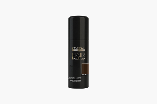 L’oreal Professionnel Hair Touch Up Brown