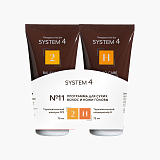 System 4 Program 11