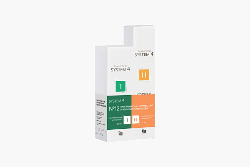 System 4 Program 12
