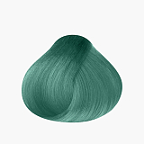 IroIro 113 Forest Green