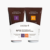 System 4 Program 13
