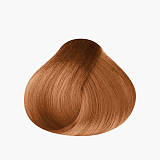 L’oreal Professionnel Majirel 8.34